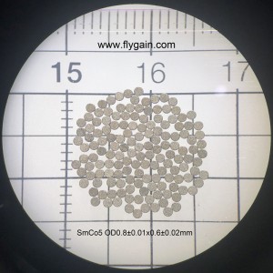 China Hersteller Micro Precision Small Magnet für Motor