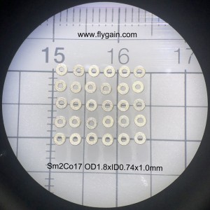 China Hersteller Micro Precision Small Magnet für Motor