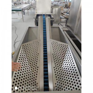 WX150 Ente Eiwaschmaschine