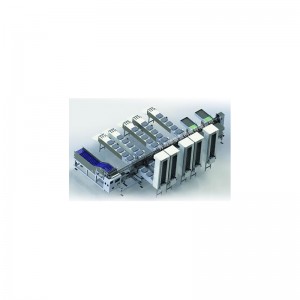 Elektronische Wägungs- und Packmaschine WF300Egg