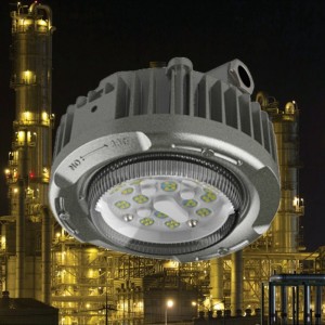 Industrielle Verwendung Atex Explosion Light 12 Monate Garantie