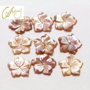 Perlmutt Muschel Schmuck Material