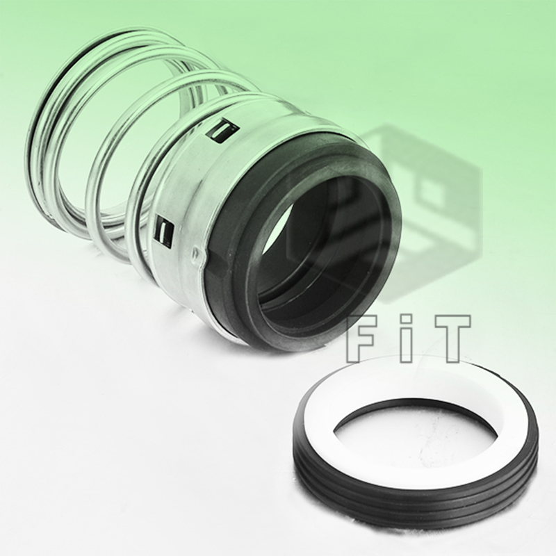 Elastomerbalg-Gleitringdichtungen FT1B