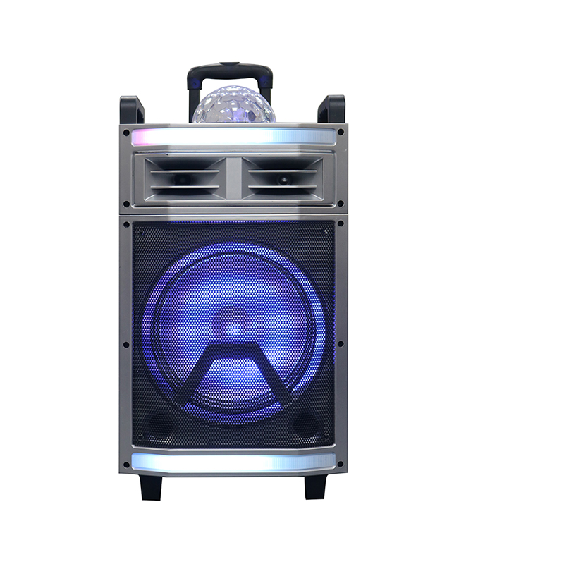 Trollry-Lautsprecher Y-B22-12H