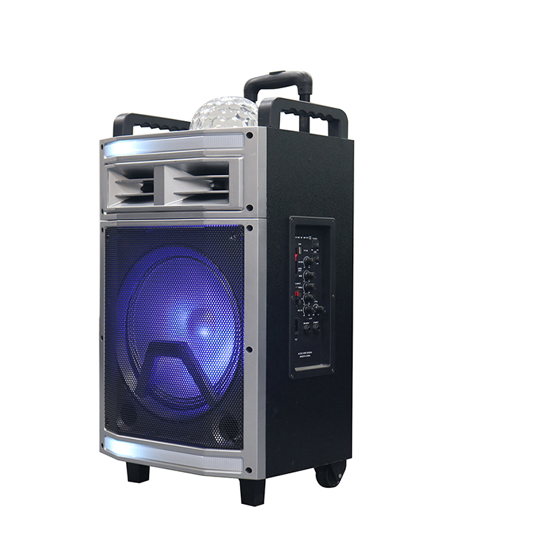 Trollry-Lautsprecher Y-B22-12H