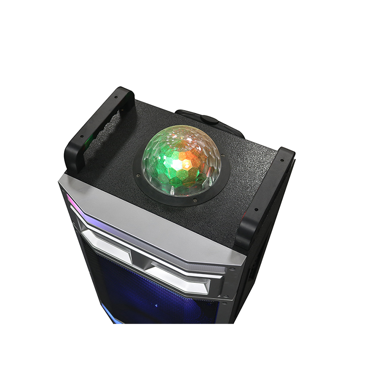 Trollry-Lautsprecher Y-B22-12H