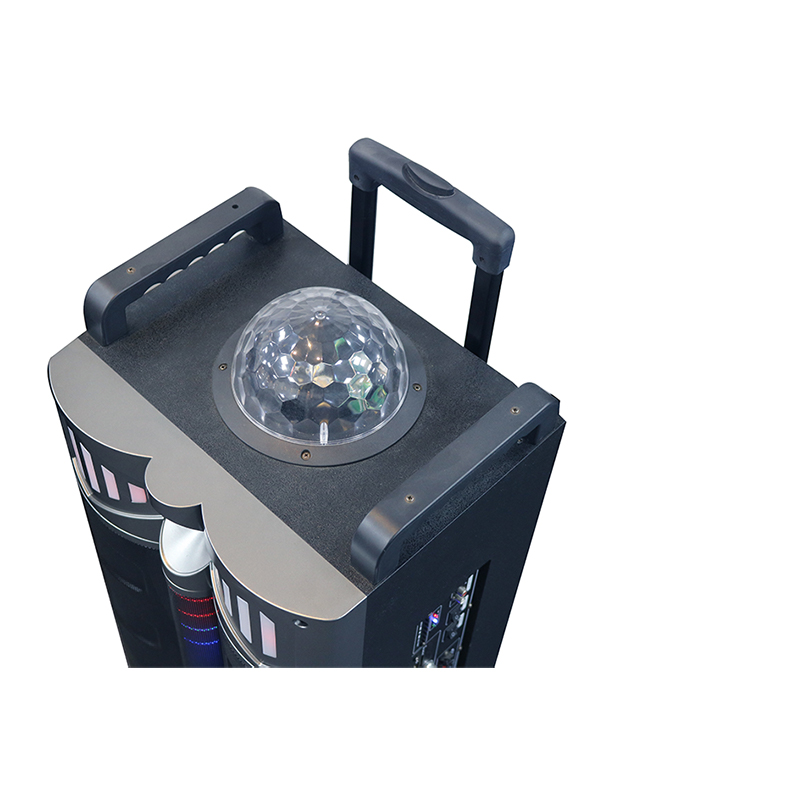 Trollry-Lautsprecher Y-DJ1201-12H