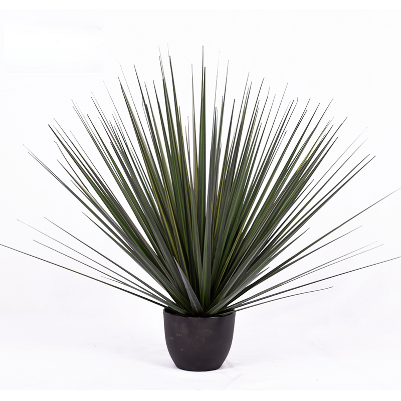 OH109200001/OH109200002/OH109200003