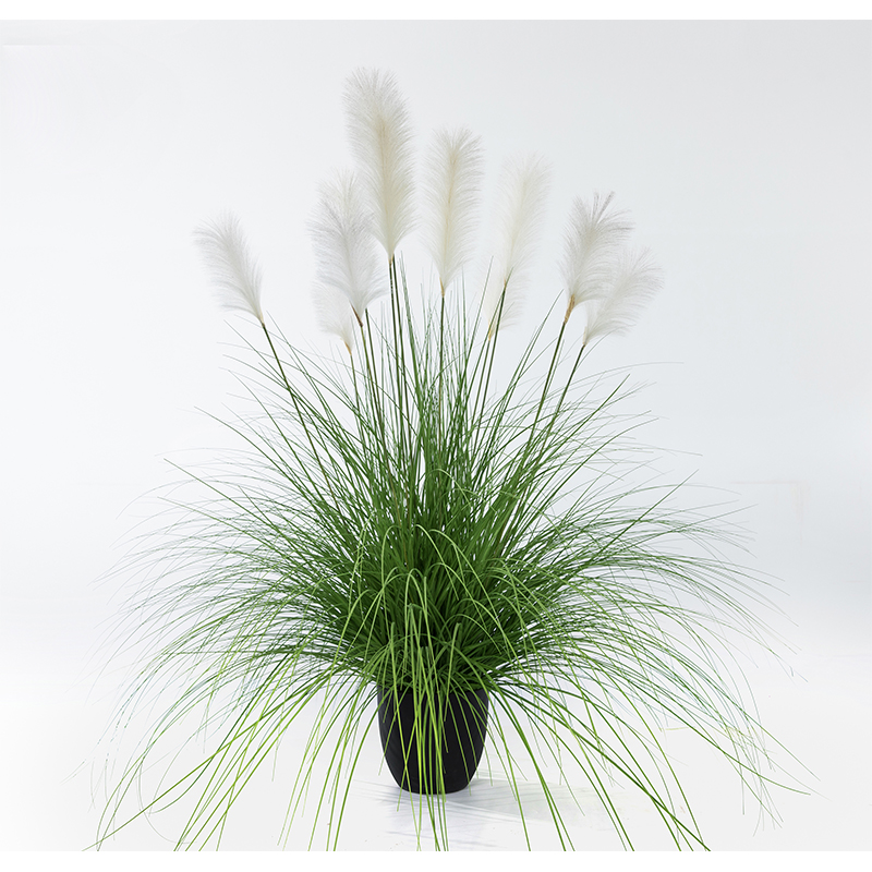 OH109200017/OH109200018