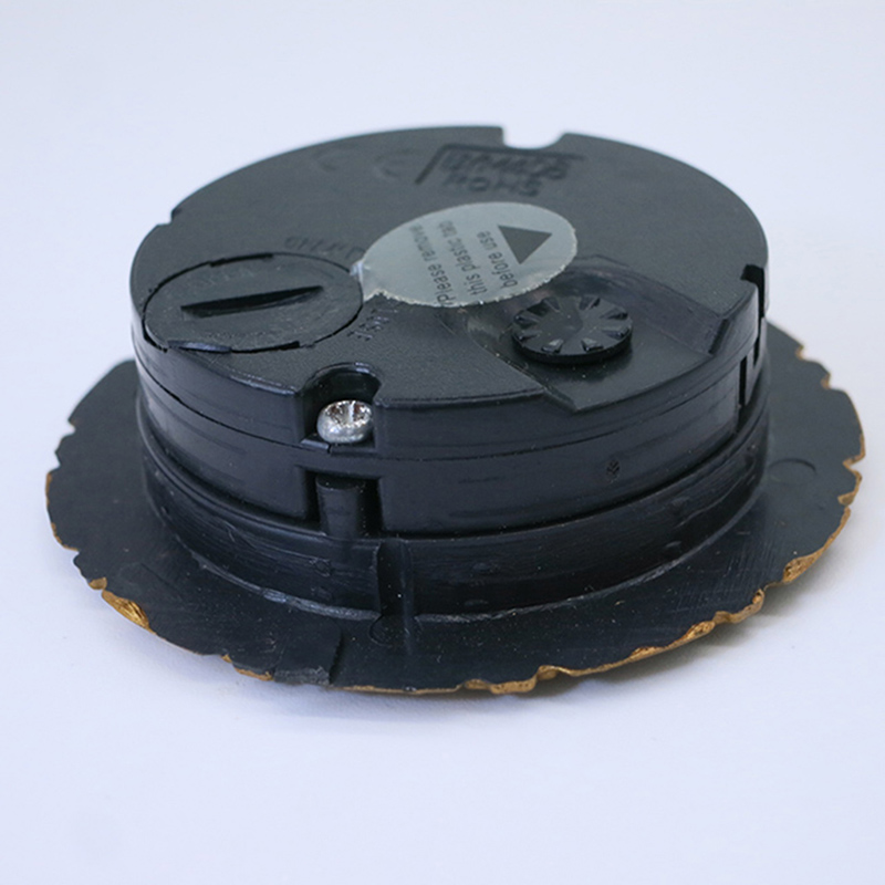 53mm antiker Pflaumenblütensatz Nadelsteckdose