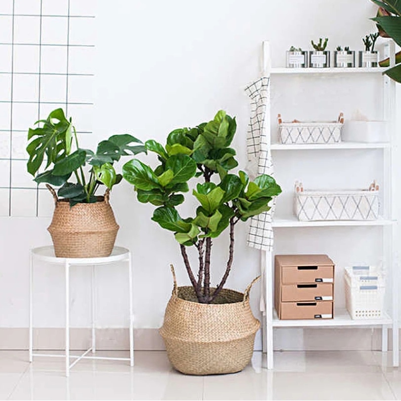 Pflanzenständer gewebter Seegrasbauchkorb zur Aufbewahrung hängender Seegraskorb