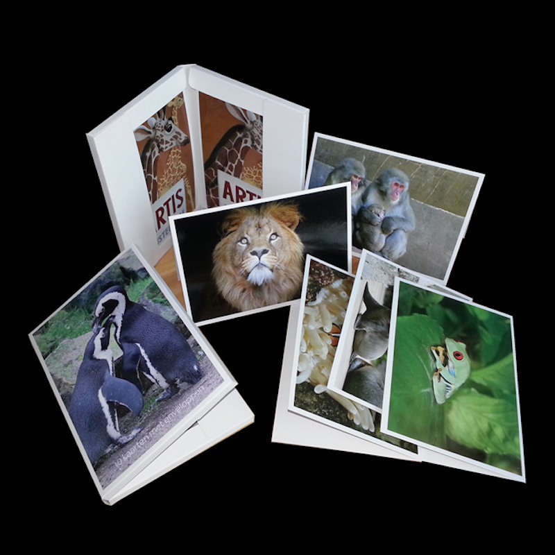 Grußkarte für alle Gelegenheiten, Papierkarte, mit Umschlag.Souvenirs für Reisende