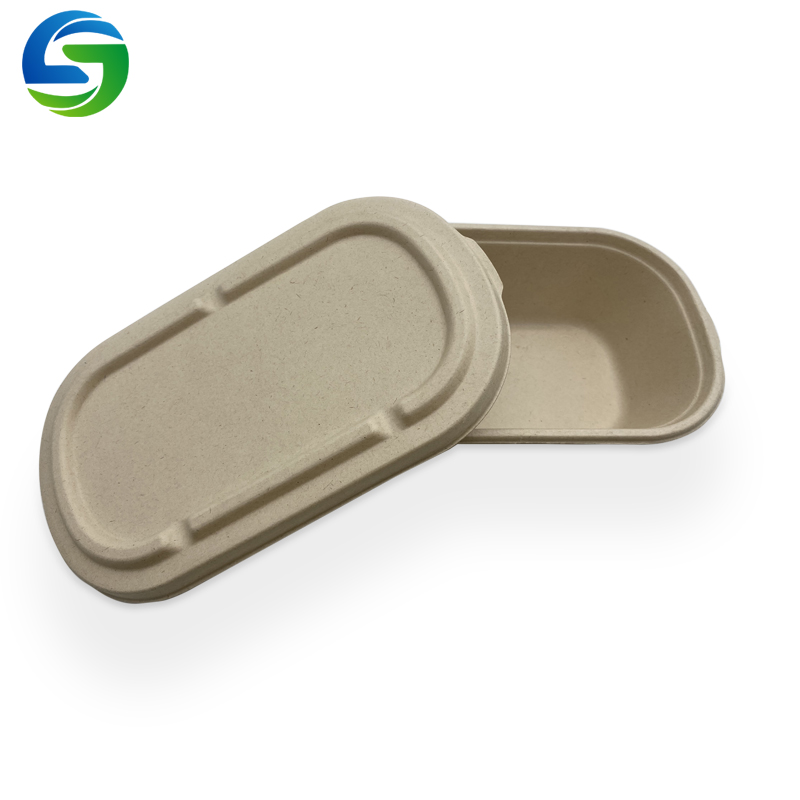 Umweltfreundliche Einweg-Salatschüssel