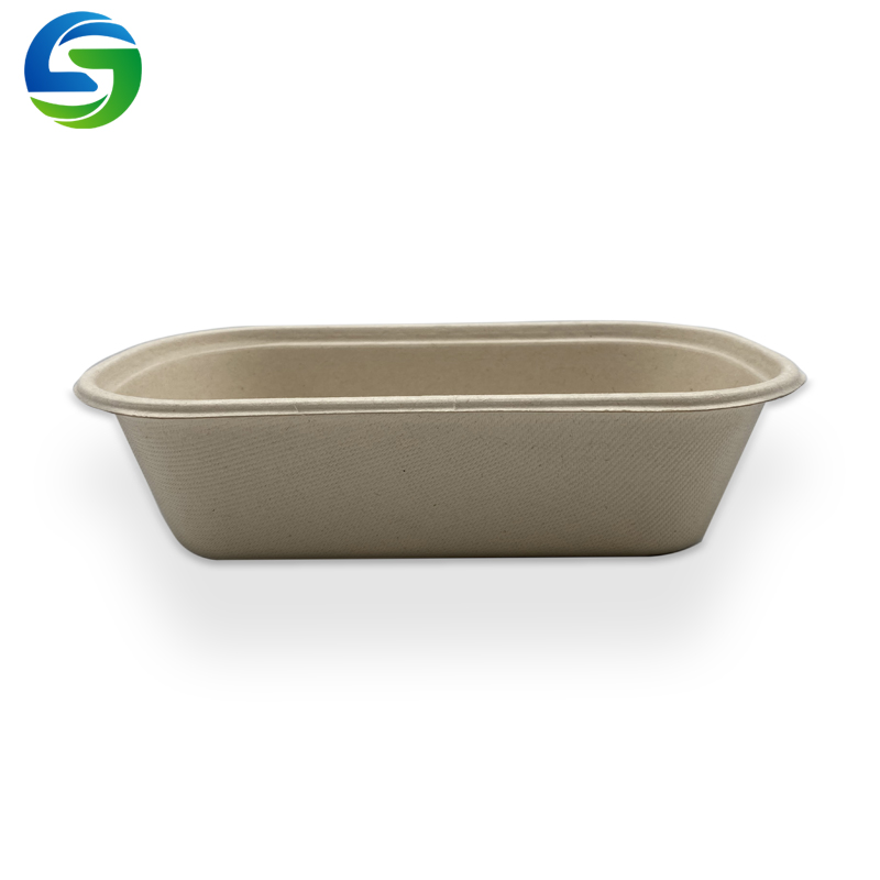 Umweltfreundliche Einweg-Salatschüssel