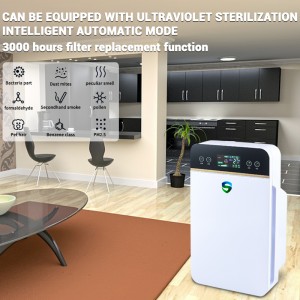 Gesunder Anion-Luftreiniger