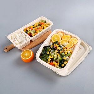 Umweltfreundliche BPA-freie Einweg-Bento-Lunchbox zum Mitnehmen Verpackungsbox biologisch abbaubarer Lebensmittelbehälter