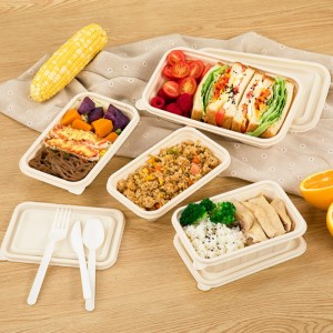Umweltfreundliche BPA-freie Einweg-Bento-Lunchbox zum Mitnehmen Verpackungsbox biologisch abbaubarer Lebensmittelbehälter