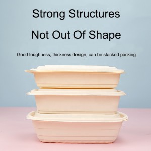 Biologisch abbaubare Maisstärke Fast Food Verpackungsbox Rechteck Mitnehmen Lebensmittelbehälter Lunchbox abbaubar