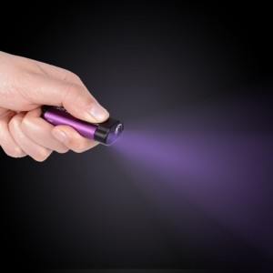 UVC Desinfektion Schlüsselbund Taschenlampe