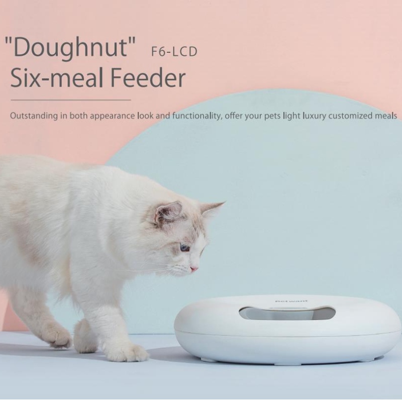 Donuts 6-Meal Automatic Feeder