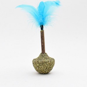 Katze Mint Tumbler Lollipop