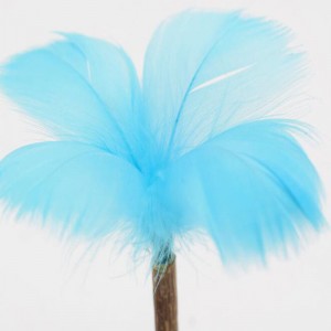 Katze Mint Tumbler Lollipop