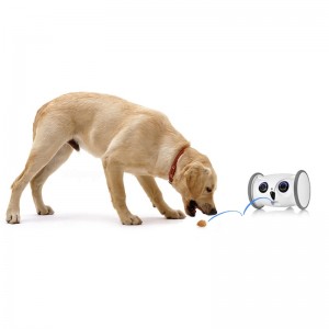 Smart Eule Robotersitter