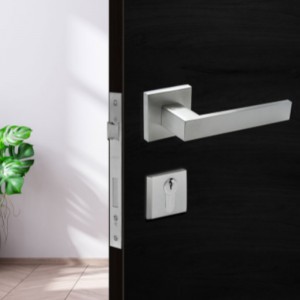 F5450 Edelstahlhebel Hebel -Leichenschloss, Schließschloss für Schlüsselhebelschlebungen