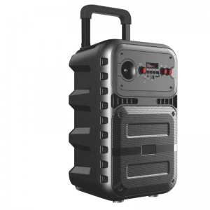 FB-PS0808 Heckklappe Bluetooth-Party-Lautsprecher mit LED-Beleuchtung