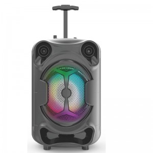 FB-PS816 Heckklappe Bluetooth-Party-Lautsprecher mit LED-Beleuchtung