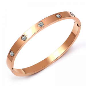 Frisches kaltes Luft-Titan-Stahl-Armband