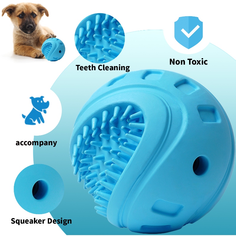 Hundekämmerung Reinigung Ballspielzeug