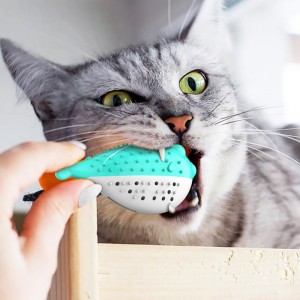 Furjoyz Großhandel Lustige Haustier Spielzeug Zahnbürste Interaktives Spielzeug Tragbare Katze Intelligente Reinigen Zähne Gummi Catnip Katze Spielzeug