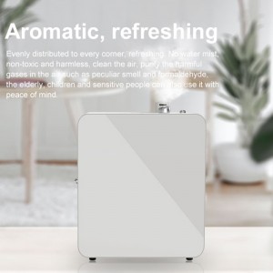 DW-2000AROMA Diffusor