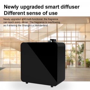 DW-2000AROMA Diffusor