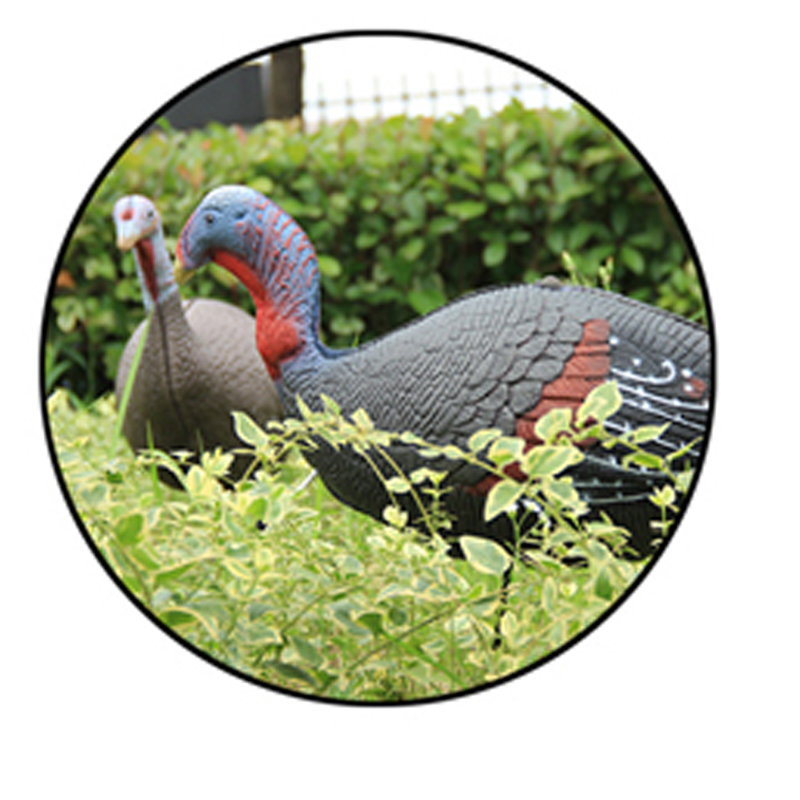 Happy Thanksgiving Day.