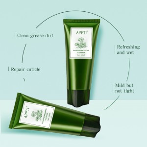 Private Label Anti Akne Aloe Vera Gesicht Wasche Gesichtsreiniger Ganodermie Essenz Fash Wäsche