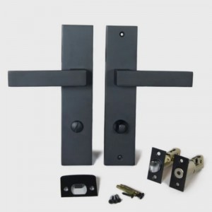 6203 Moderne Zinklegierung Vordertürgriff Einstiegsgriff Sets Vordertürschlosset Set