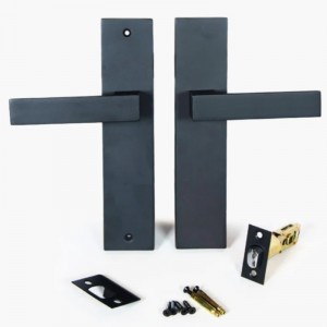 6203 Moderne Zinklegierung Vordertürgriff Einstiegsgriff Sets Vordertürschlosset Set