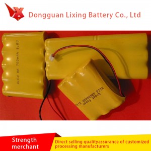 Eine große Anzahl von Spezialbatterien für den Haarabzieher NICD400 2.4V Nr. 5 Kombinationsbatterie 2,4V von Herstellern angepasst