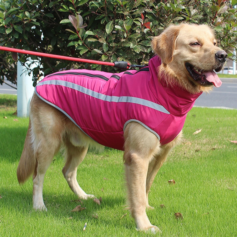 Amazon Top-Verkäufer personalisierte Hunde-Hunde-Hundekleidung reflektierender Atem für mittel- und große Hunde