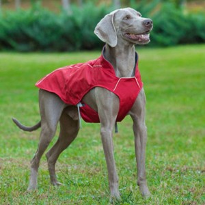 Klassischer stil reflektierender hund mantel wasserdicht einstellbar Winterhundjacke reversible leichte