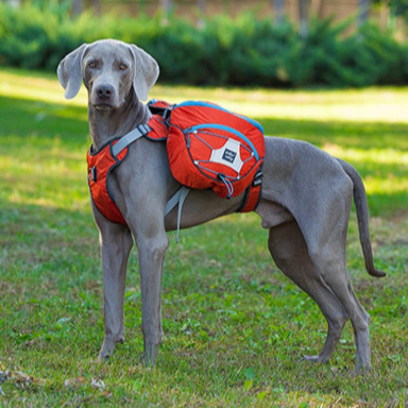 Neues Design Reflektierende Hundekleidung mit Kabelbaum Warme Große Haustier Mantel Weste Windjacke Winter Hundejacke