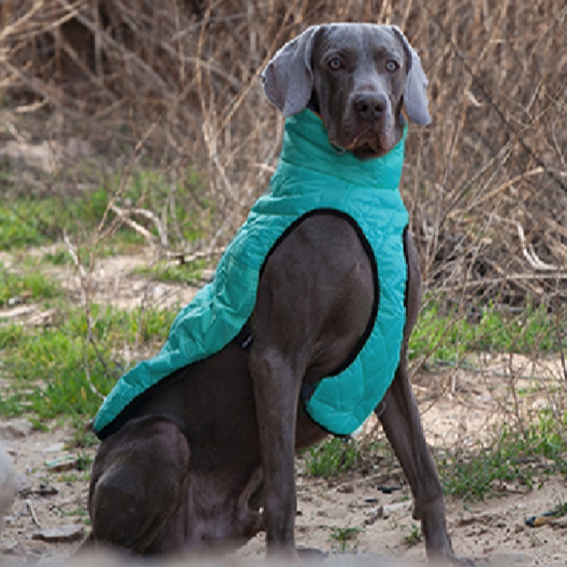 Amazon heißer verkaufneue haustier kleidung hund kleidung herbst und winter verdickte elastische pullover hunde pullover