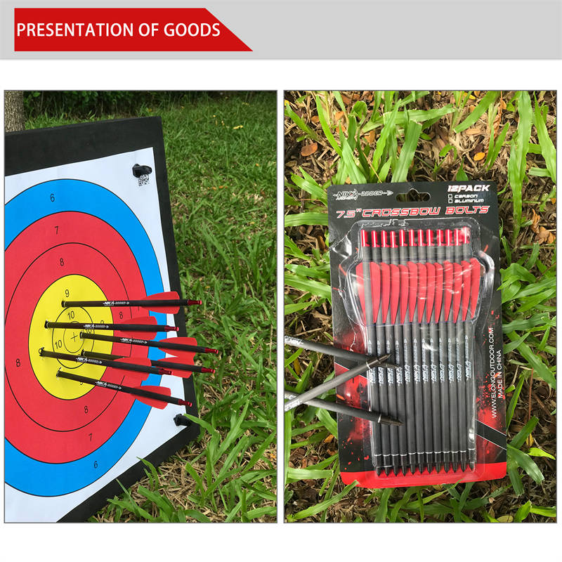 Broadhead vs FieldPoint Cobra R9 Adder Armbrustpfeilschrauben