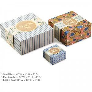 Hallmark-Geschenkboxen mit Wrap-Bändern, verschiedenen Größen (3-Pack:niedliche Blumen und Streifen) für Geburtstage, Brautschauer, Mutter Tag, beste Freunde