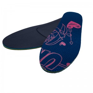 Thermoplastische geformte Innensohle