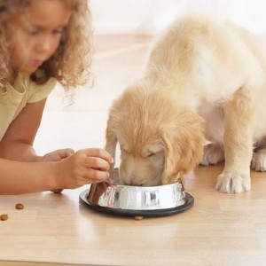 2022 Amazon Hot Sale Stuhl Matte für Hartholzbodenschutz transparenter PP Office Desk Stuhl Matte