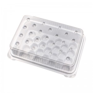 Nukleinsäure -Reagenzblasenblasenschale