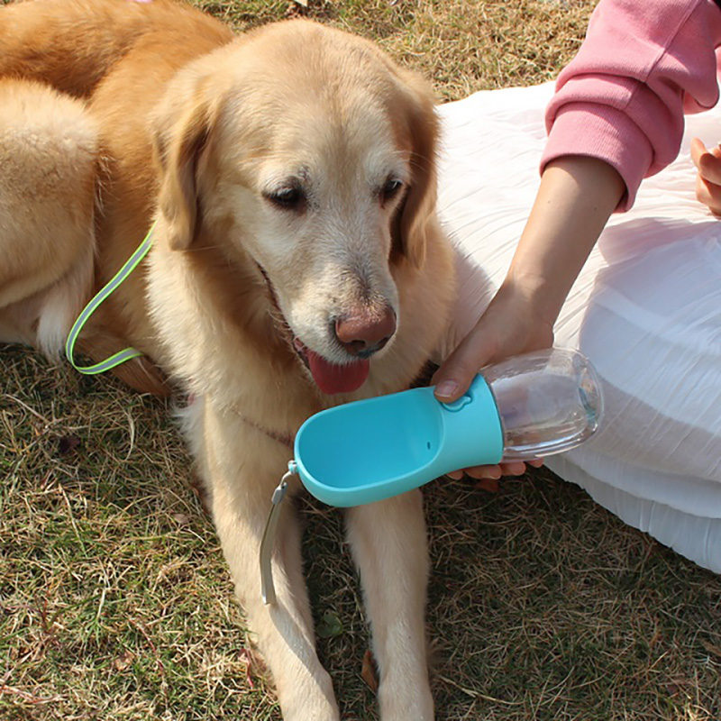 Food Grade Plastik Leckschutz tragbarer Welpe Wasserspender Hundwasserflasche mit Trinkfutter für Haustiere im Freien im Freien Wanderweg